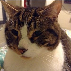 Meet your Posher, Kate